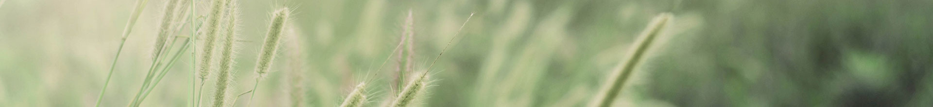 Durabilité et ESG de Tennant Company – Personnes prospères, planète saine